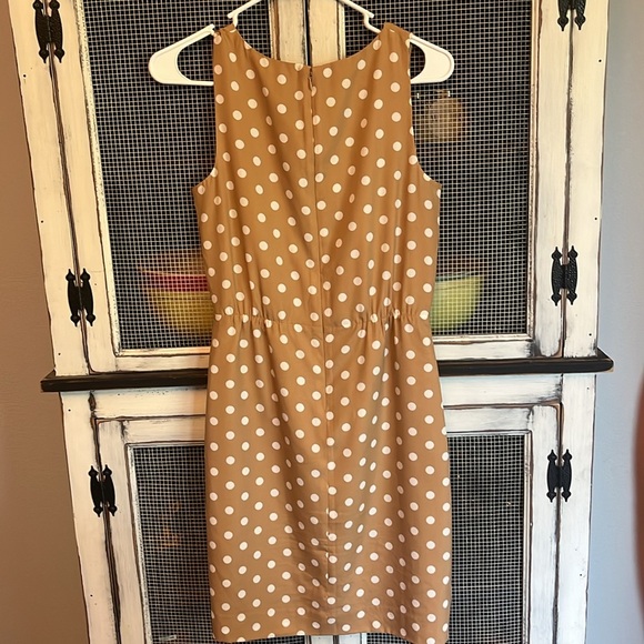 J.Crew Polka Dot Dress - Picture 4 of 4